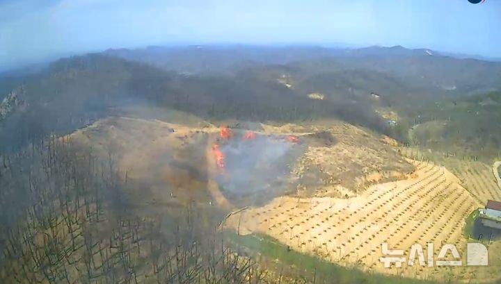 [안동=뉴시스] = 안동시 길안면 야산 과수원에 쌓인 벌채목과 폐목재 화재. (사진=경북소방본부 제공) 2026.04.16. photo@newsis.com