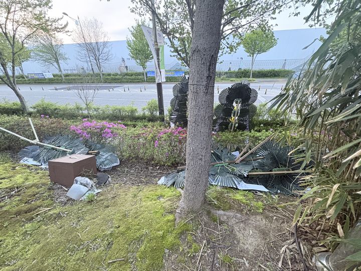 [전주=뉴시스] 16일 전북 전주시 전북특별자치도청 뒤편 인도에 설치된 김관영 전북지사를 응원하는 화환이 누군가에 의해 파손돼 풀숲에 버려져있다. (사진=독자 제공) 2026.04.16. photo@newsis.com *재판매 및 DB 금지