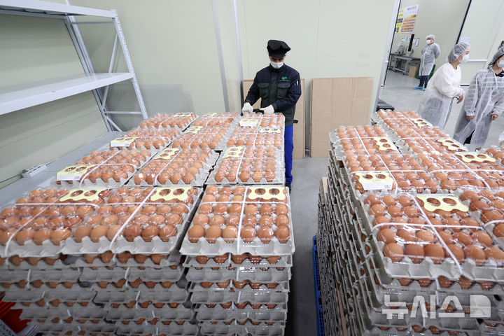 [당진=뉴시스] 이영환 기자 = 16일 충남 당진시 농업회사법인 한솔루트원에서 직원들이 태국산 신선란 선별·포장 작업을 하고 있다.한국농수산식품유통공사(aT)는 태국산 신선란 수입을 통해 국내 계란 수급 안정과 소비자 가격 부담 완화에 나선다고 밝혔다. 2026.04.16. 20hwan@newsis.com