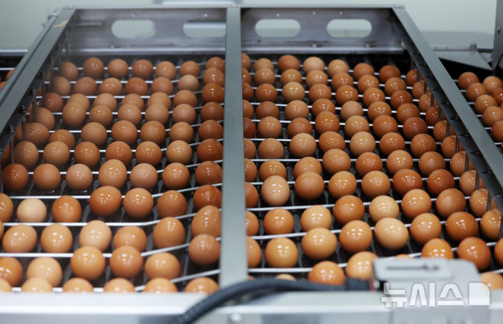 [당진=뉴시스] 이영환 기자 = 16일 충남 당진시 농업회사법인 한솔루트원에서 태국산 신선란 세척 작업이 진행되고 있다.한국농수산식품유통공사(aT)는 태국산 신선란 수입을 통해 국내 계란 수급 안정과 소비자 가격 부담 완화에 나선다고 밝혔다. 2026.04.16. 20hwan@newsis.com