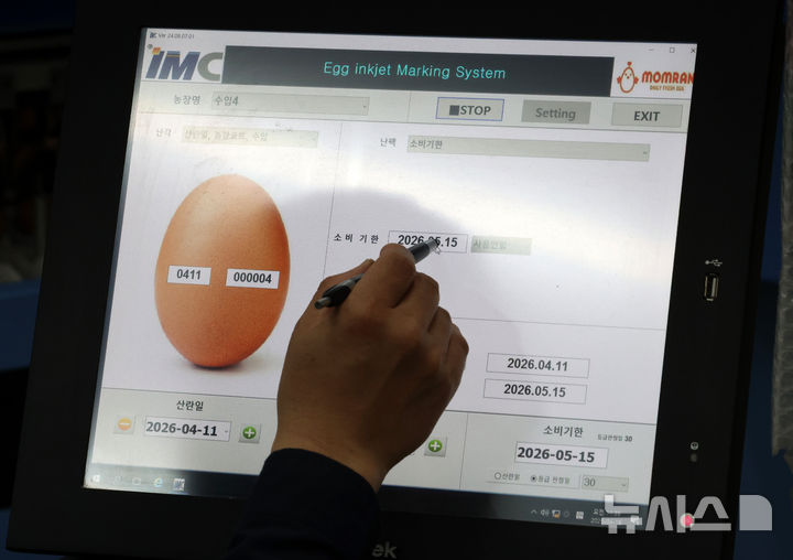 [당진=뉴시스] 이영환 기자 = 16일 충남 당진시 농업회사법인 한솔루트원에서 태국산 신선란 난각이 진행되고 있다.한국농수산식품유통공사(aT)는 태국산 신선란 수입을 통해 국내 계란 수급 안정과 소비자 가격 부담 완화에 나선다고 밝혔다. 2026.04.16. 20hwan@newsis.com