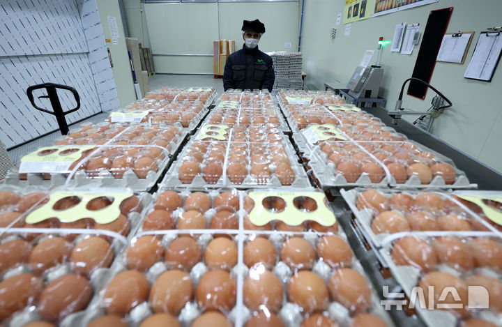 [당진=뉴시스] 이영환 기자 = 16일 충남 당진시 농업회사법인 한솔루트원에서 직원이 작업을 거친 태국산 신선란을 옮기고 있다. 한국농수산식품유통공사(aT)는 태국산 신선란 수입을 통해 국내 계란 수급 안정과 소비자 가격 부담 완화에 나선다고 밝혔다. 2026.04.16. 20hwan@newsis.com