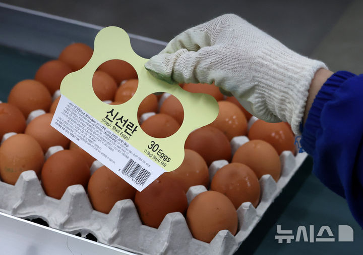 [당진=뉴시스] 이영환 기자 = 16일 충남 당진시 농업회사법인 한솔루트원에서 직원들이 태국산 신선란 포장 작업을 하고 있다.한국농수산식품유통공사(aT)는 태국산 신선란 수입을 통해 국내 계란 수급 안정과 소비자 가격 부담 완화에 나선다고 밝혔다. 2026.04.16. 20hwan@newsis.com