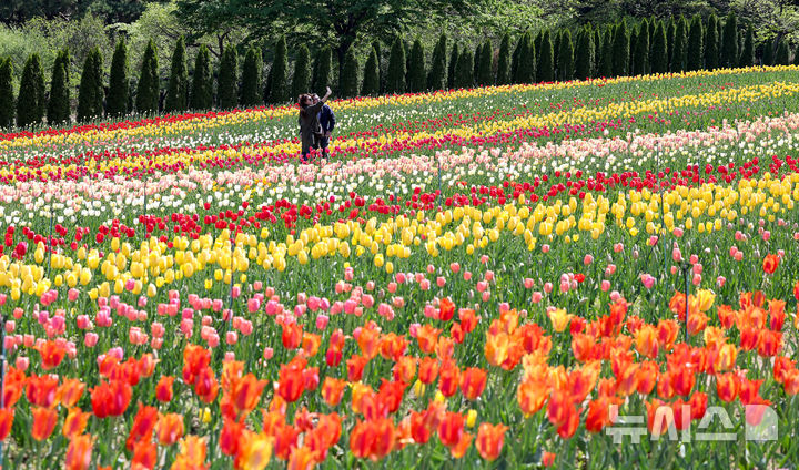 [대구=뉴시스] 이무열 기자 = 완연한 봄 날씨를 보인 16일 대구 달서구 이월드 포시즌 튤립 가든을 찾은 외국인 유학생들이 활짝 핀 튤립 배경으로 사진을 찍고 있다. 2026.04.16. lmy@newsis.com
