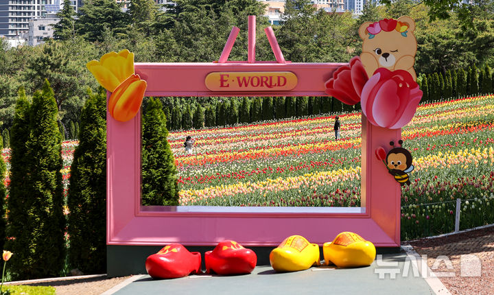 [대구=뉴시스] 이무열 기자 = 완연한 봄 날씨를 보인 16일 대구 달서구 이월드 포시즌 튤립 가든을 찾은 외국인 유학생들이 활짝 핀 튤립 배경으로 사진을 찍고 있다. 2026.04.16. lmy@newsis.com