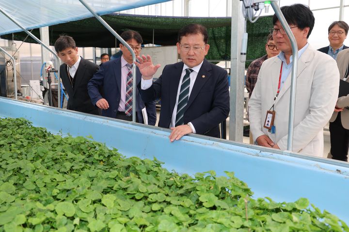 AI로 농산물 품질 관리…수확후 저장·유통 '디지털 전환' 시동