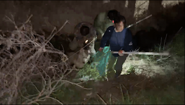 늑구 포획 당시 장면 (제공=대전시) *재판매 및 DB 금지 *재판매 및 DB 금지