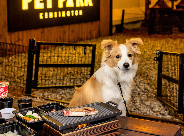 [서울=뉴시스] 켄싱턴리조트 충주, 바비큐 인 포레스트 패키지(사진=이랜드파크) *재판매 및 DB 금지