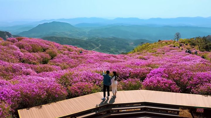 [합천=뉴시스] 황매산. (사진=뉴시스 DB). photo@newsis.com&nbsp; *재판매 및 DB 금지