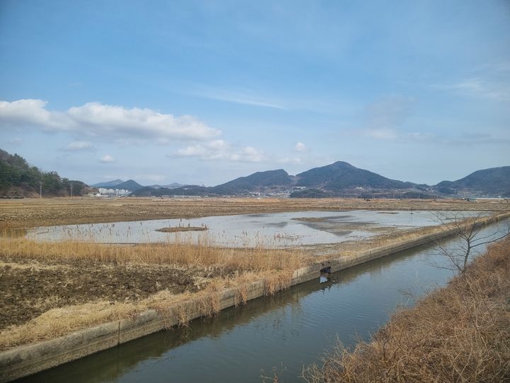[서울=뉴시스] 금호석유화학그룹의 전남 여수 사업장 인근에 있는 철새 서식지 모습. 금호석유화학그룹은 앞으로 3년간 약 2억6000만원을 투입해 습지 형태의 무논을 조성해 멸종위기종 철새를 보호할 예정이다. (사진=금호석유화학그룹 제공) 2026.04.17 photo@newsis.com *재판매 및 DB 금지