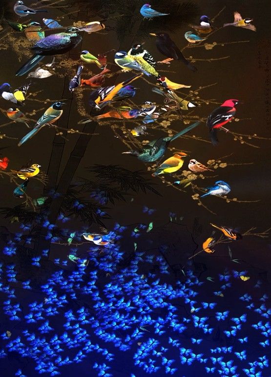 <기운생동 87마리 새> (2025, 가변설치, 5분 30초) *재판매 및 DB 금지