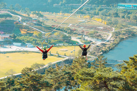 [정읍=뉴시스] 정읍 구절초지방정원 집와이어. *재판매 및 DB 금지