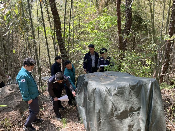 [대전=뉴시스] 산림병해충 방제사업장을 점검하는 산림당국.(사진=산림청 제공) *재판매 및 DB 금지