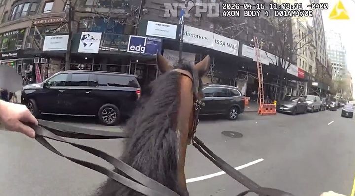 [서울=뉴시스] 뉴욕 경찰(NYPD) 기마대 소속 경찰이 말을 타고 절도범을 추격하고 있다. (영상='NYPD' X 캡처) 2026.04.17. 