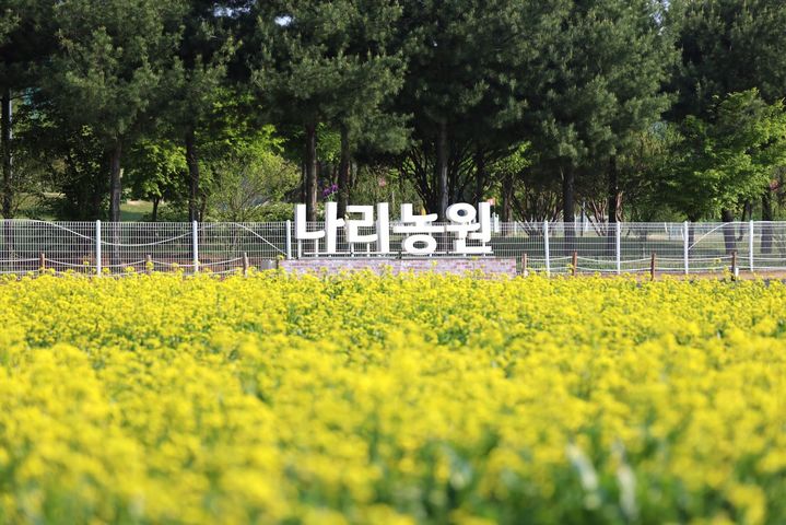 [양주소식]양주나리농원, 내달 9~17일 무료 개장한다 등