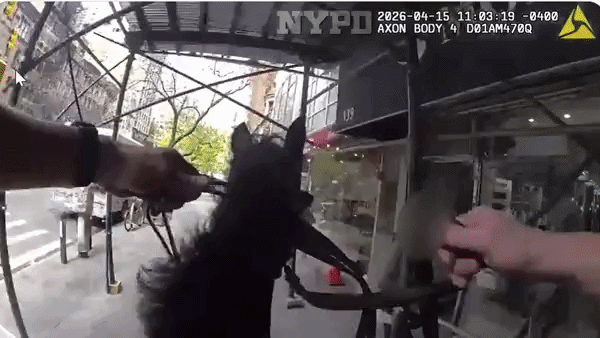 [서울=뉴시스] 뉴욕 기마 경찰이 말을 타고 절도범을 추격하고 있다. (영상='NYPD' X 캡처) 2026.04.17. *재판매 및 DB 금지