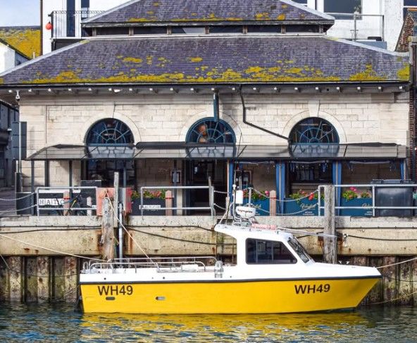 [서울=뉴시스] 동물권 활동가가 '구출'을 명분으로 식당 수조에서 꺼내 바다에 방사한 가재가 급격한 수온 변화로 폐사한 것으로 전해졌다. (사진=캐치 인스타그램 캡처) *재판매 및 DB 금지