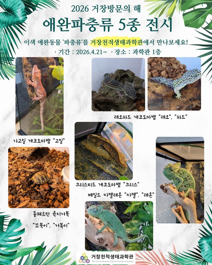 *홍보 포스터 *재판매 및 DB 금지