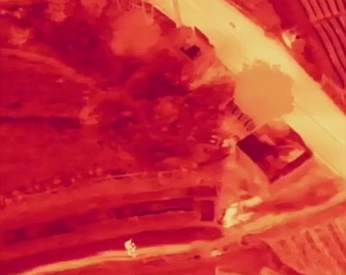 [대전=뉴시스]떠돌던 늑구가 수의사가 발사한 마취총에 맞아 달아나고 있다. (제공=대전시) *재판매 및 DB 금지