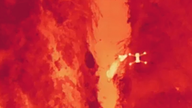 힘을 잃은 늑구가 수로에 쓰러지고 있다. *재판매 및 DB 금지