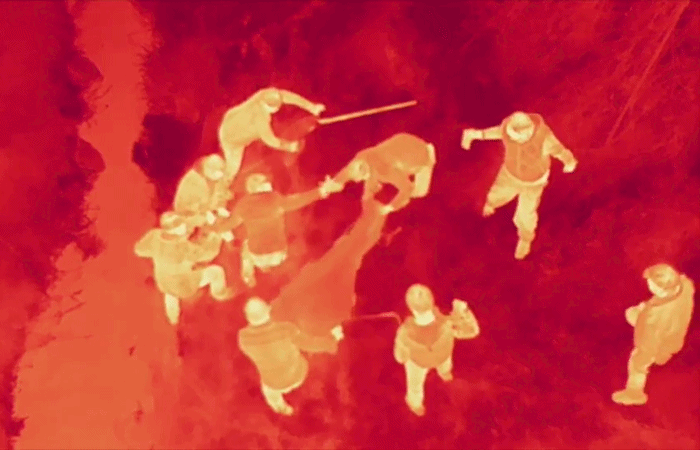  수색팀이 늑구를 수로에서 들어올리고 있다. *재판매 및 DB 금지