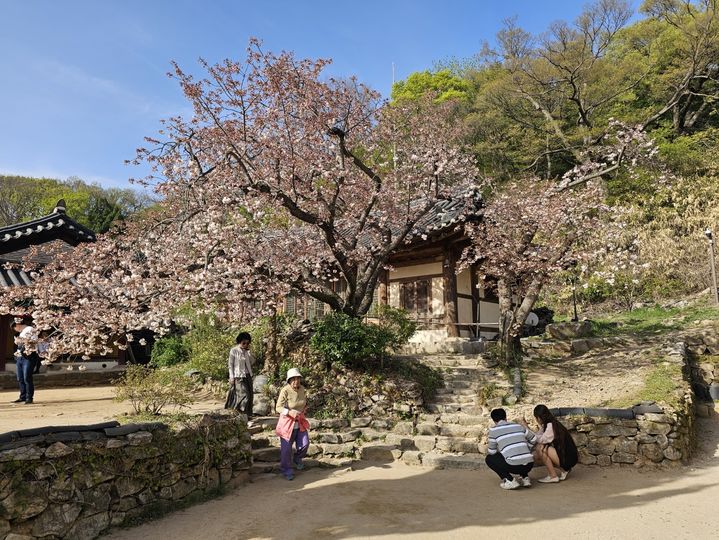 충남권 일교차 크고 아침 안개…낮 최고 26도 '초여름'