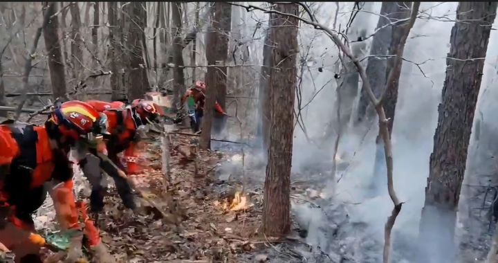 [평창=뉴시스] 17일 산림당국은 이날 오후 4시44분께 강원 평창군 대관령면 병내리 한 야산에서 불이 나 1시간20여분만에 진화됐다고 밝혔다, 강원특별자치도재난안전대책본부 제공. . *재판매 및 DB 금지