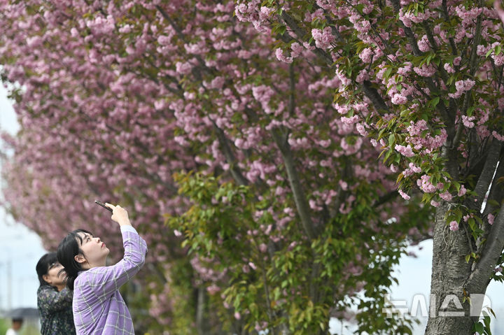 울산 가끔 구름 많음…아침엔 9도, 낮엔 22도