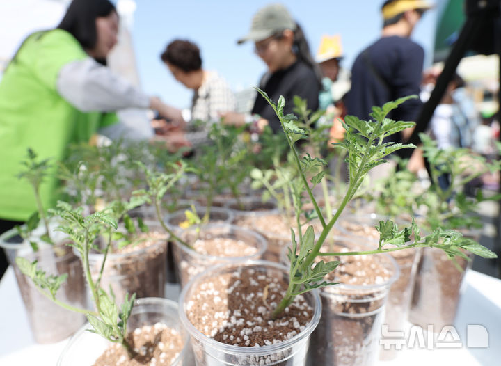 [서울=뉴시스] 김진아 기자 = 지구의 날(매년 4월 22일)을 맞아 18일 서울 종로구 광화문광장에서 폐기물 감량을 주제로 열린 '2026 지구의 날 기념행사'에서 시민들이 지구를 아끼기 위한 실천메시지를 적은 뒤 토마토 모종을 받고 있다. 2026.04.18. bluesoda@newsis.com