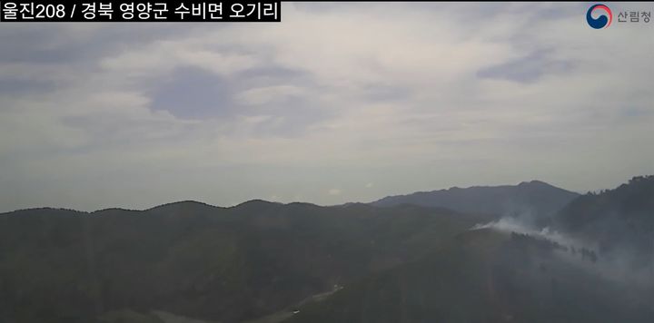 [영양=뉴시스] 경북 영양군 수비면의 한 야산에서 발생한 산불이 1시간여만에 진화됐다. (사진 = 산림청 제공) 2026.04.19. photo@newsis.com *재판매 및 DB 금지