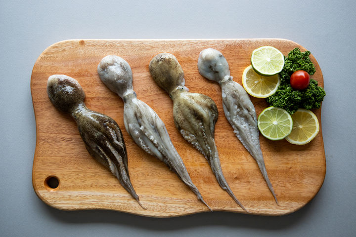 주꾸미. (사진=수협) *재판매 및 DB 금지