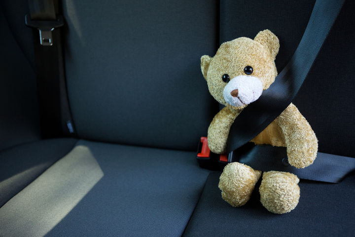 [서울=뉴시스] 곰 인형 탈 자작극으로 2억 원대 자동차 보험금을 타내려던 일당이 덜미를 잡혔다. (사진=유토이미지) 2026.04.19. *재판매 및 DB 금지