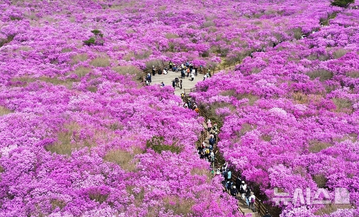 가끔 구름 많은 울산, 낮 최고 25도 포근…"강풍 주의"
