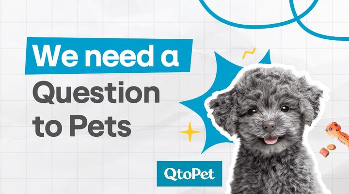 (사진=hy 제공) *재판매 및 DB 금지