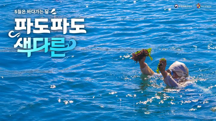 ‘5월은 바다 가는 달’…미식·체험·할인 풍성한 해양 관광 