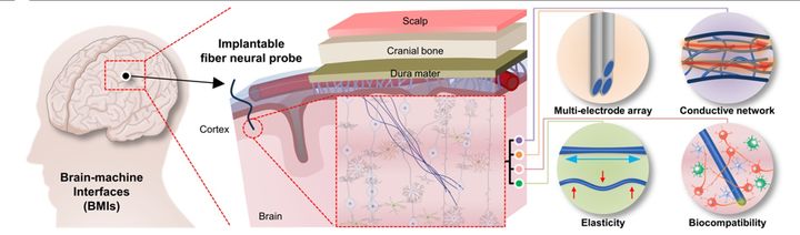 연구 모식도. (사진=인천대 제공) *재판매 및 DB 금지