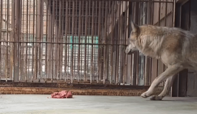 영상 대전오월드 SNS *재판매 및 DB 금지