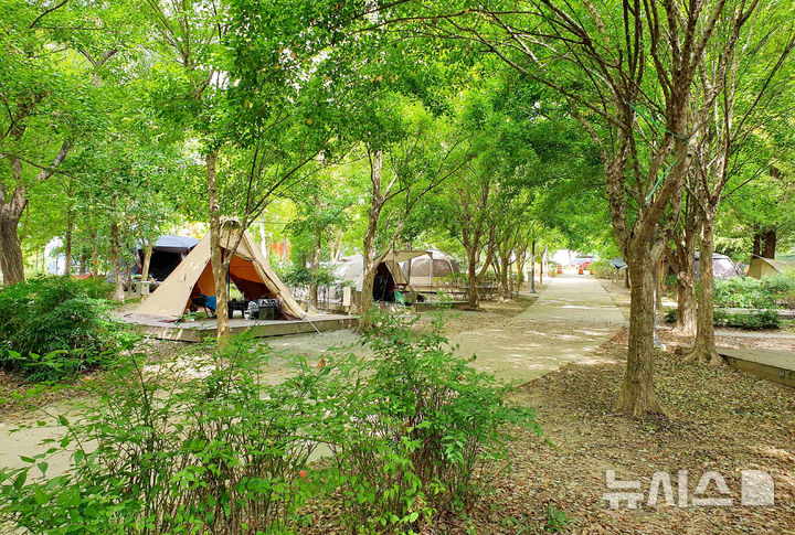 [광주=뉴시스] 광주 북구 '시민의숲야영장'. (사진=광주시청 제공). photo@newsis.com *재판매 및 DB 금지