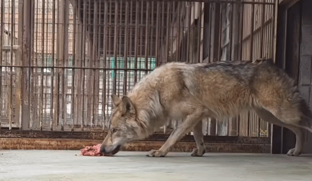 영상 대전오월드 SNS *재판매 및 DB 금지