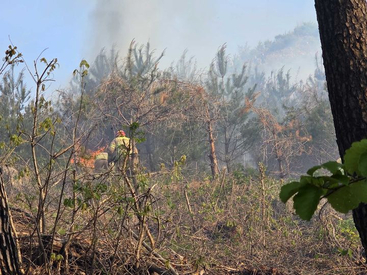 [양양=뉴시스] 21일 오전 7시 43분께 강원 양양군 서면 논화리 인근 야산에서 산불이 발생해 소방당국이 헬기 3대를 투입해 진화중이다.(사진=강원도소방본부 제공)photo@newsis.com *재판매 및 DB 금지