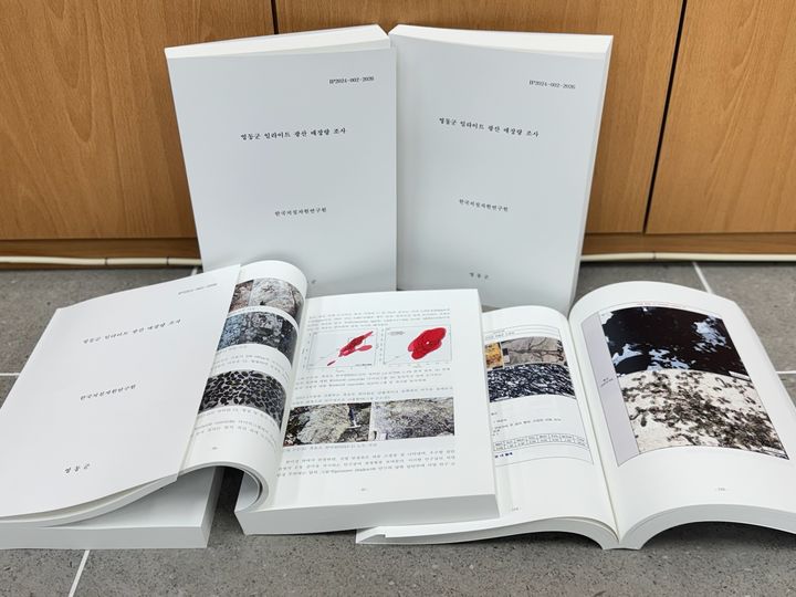 영동군 일라이트 매장량 조사보고서 *재판매 및 DB 금지