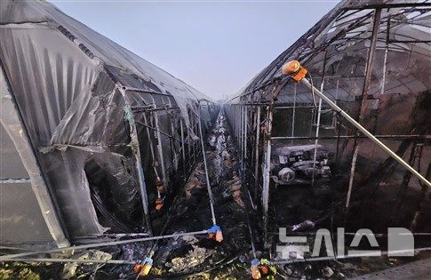 [청주=뉴시스] 21일 오전 충북 청주시 흥덕구 오송읍의 한 비닐하우스에서 불이나 시설물 뼈대만 남아 있다. (사진= 청주서부소방서 제공) 2026.04.21. photo@newsis.com&nbsp; *재판매 및 DB 금지