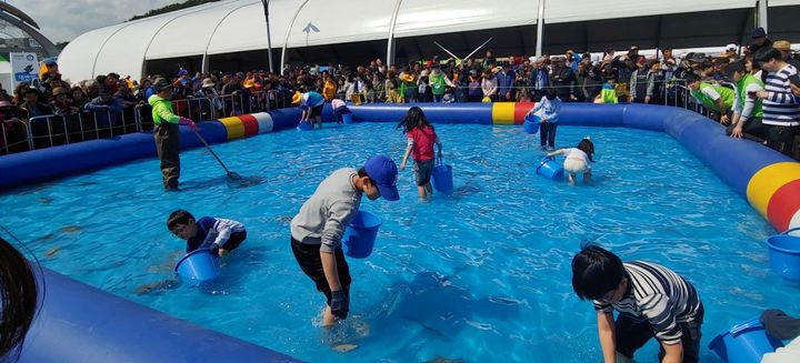 [서울=뉴시스] 기장멸치축제에서 맨손으로 활어를 잡는 아이들. (사진=부산시공식관광홈페이지 캡처) *재판매 및 DB 금지