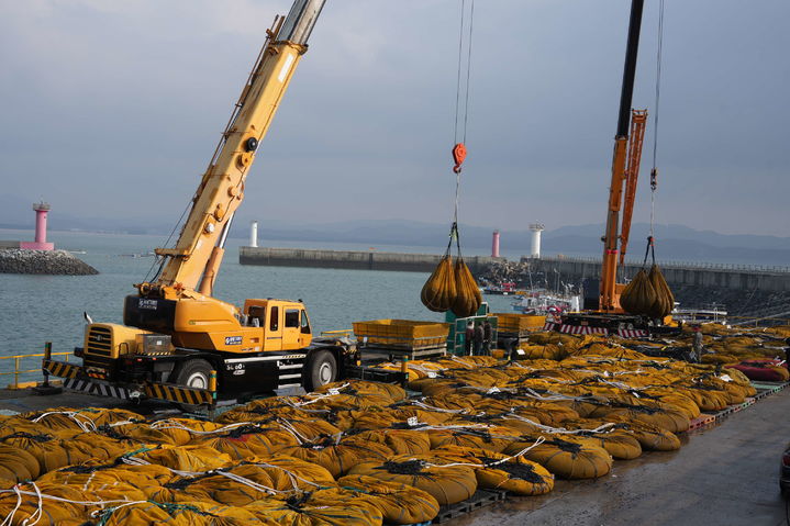 [서천=뉴시스]서천군 물김 수확장면 *재판매 및 DB 금지
