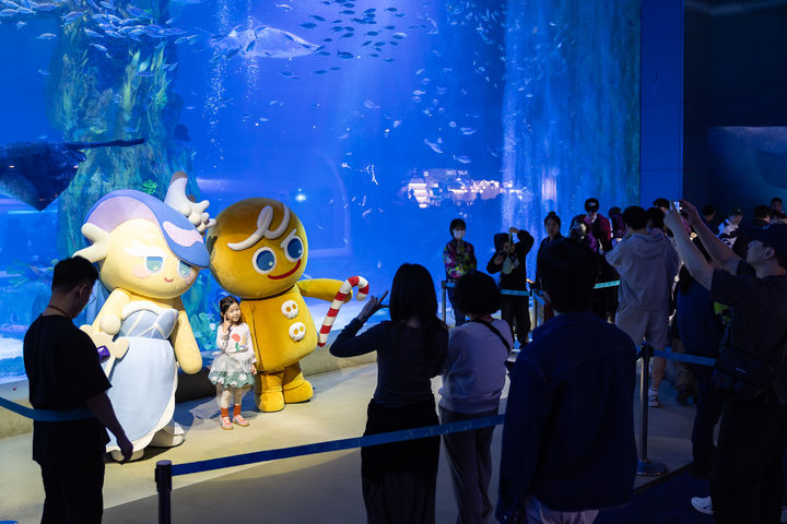 ‘쿠키런 in 롯데월드 아쿠아리움: 바다모험전’의 메인수조 포토타임. (사진=롯데월드) *재판매 및 DB 금지