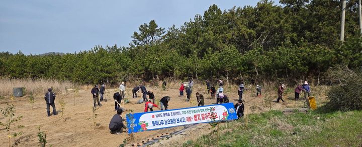 [보령=뉴시스] 보령시 삽시도리 동백나무 식재 모습. (사진=보령시청 제공) 2026.04.21. photo@newsis.com *재판매 및 DB 금지