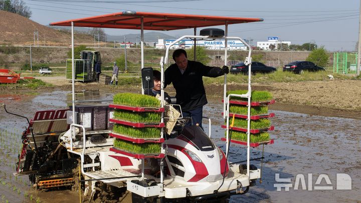 [음성=뉴시스] 신희섭씨가 21일 충북 음성군 감곡면 오궁리 논에 벼 품종 진광과 수찬미를 이앙하고 있다. 음성지역 올해 첫 모내기로, 지역 모내기는 다음 달 말까지 순차적으로 진행된다. (사진=음성군 제공) 2026.04.21. photo@newsis.com 