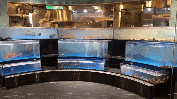 도원S 입구 대형 수조 *재판매 및 DB 금지