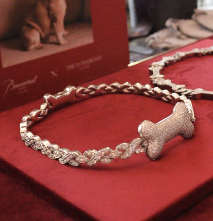 [서울=뉴시스]반려견을 위한 18K 금과 다이아몬드로 제작된 초호화 맞춤형 목걸이.(사진출처: 인스타그램 @theddiamondnewyork) 