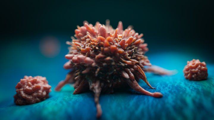 [서울=뉴시스] 지난 20일(현지시각) 미국 뉴욕포스트는 뉴저지 키포트 지역에서 비정상적인 수준으로 암 환자가 발생했다고 보도했다. 전문가들은 과거 인근에 존재했던 쓰레기 매립지가 원인일 수 있다고 지적했다. (사진=유토이미지)